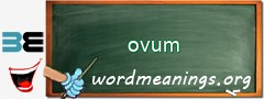 WordMeaning blackboard for ovum